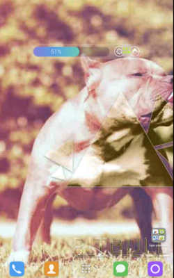 Emulate Android APK Pitbull Free Wallpapers Emulate Android APK Pitbull Free Wallpapers