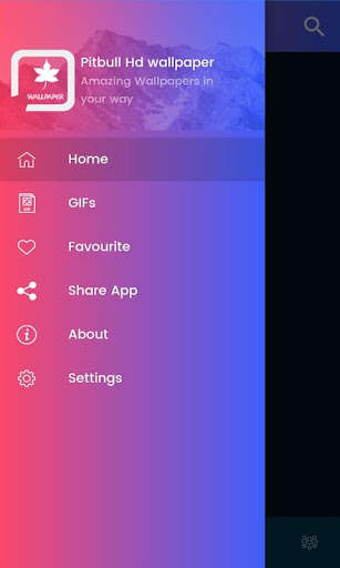 Run android online APK Pitbull HD Wallpaper 2020 from MyAndroid or emulate Pitbull HD Wallpaper 2020 using MyAndroid