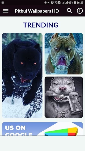 Run android online APK Pitbul Wallpapers HD from MyAndroid or emulate Pitbul Wallpapers HD using MyAndroid Run android online APK Pitbul Wallpapers HD from MyAndroid or emulate Pitbul Wallpapers HD using MyAndroid