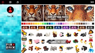 Emulate iPhone app Pix-Brix Pixelator & Guides using MyAndroid