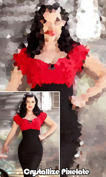 Run android online APK Pixelate Photo Maker from MyAndroid or emulate Pixelate Photo Maker using MyAndroid
