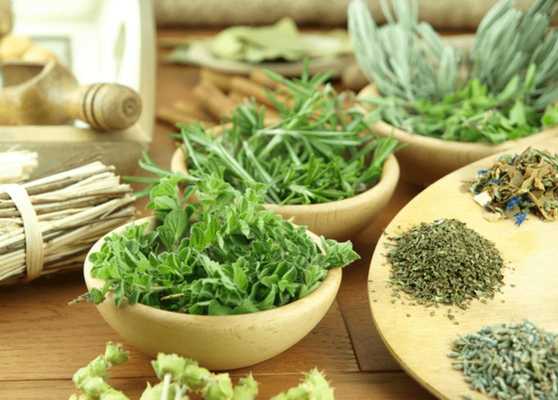 Emulate Android APK Plantas Medicinales Medicina Natural