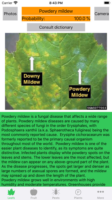 Emulate iPhone app Plant diseases and pests using MyAndroid