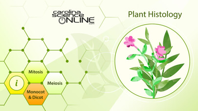 Emulate iPhone app Plant Histology HD using MyAndroid