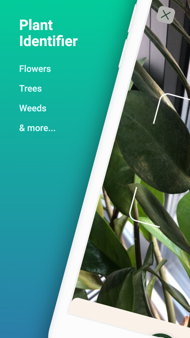 Emulate iPhone app Plantia: Plant Identifier using MyAndroid Emulate iPhone app Plantia: Plant Identifier using MyAndroid