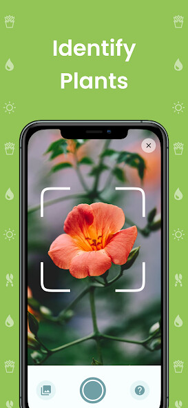 Run android online APK Plantiary Plant Identification from MyAndroid or emulate Plantiary Plant Identification using MyAndroid