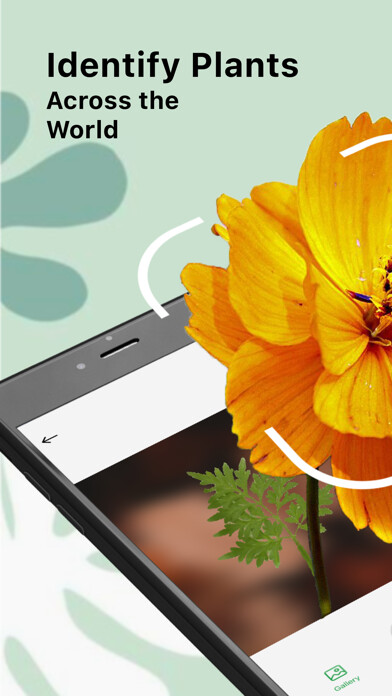 Emulate iPhone app Plant Identification A Care using MyAndroid Emulate iPhone app Plant Identification A Care using MyAndroid