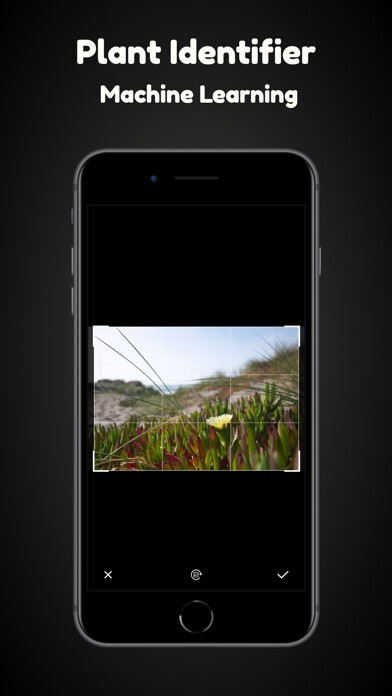 Emulate iPhone app Plant identification-Identify using MyAndroid Emulate iPhone app Plant identification-Identify using MyAndroid