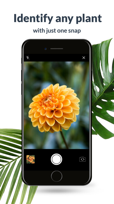 Emulate iPhone app Plant Identification Lite using MyAndroid Emulate iPhone app Plant Identification Lite using MyAndroid
