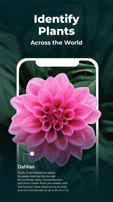 Emulate iPhone app Plant Identifier - FREE of ads using MyAndroid Emulate iPhone app Plant Identifier - FREE of ads using MyAndroid