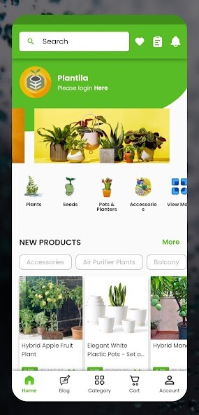 Run android online APK Plantila - Gardening Shop from MyAndroid or emulate Plantila - Gardening Shop using MyAndroid Run android online APK Plantila - Gardening Shop from MyAndroid or emulate Plantila - Gardening Shop using MyAndroid