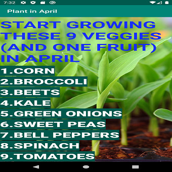 Run android online APK Plant in April from MyAndroid or emulate Plant in April using MyAndroid