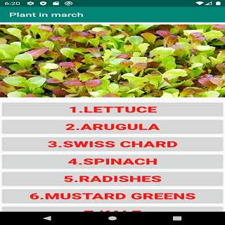 Run android online APK Plant in march from MyAndroid or emulate Plant in march using MyAndroid Run android online APK Plant in march from MyAndroid or emulate Plant in march using MyAndroid