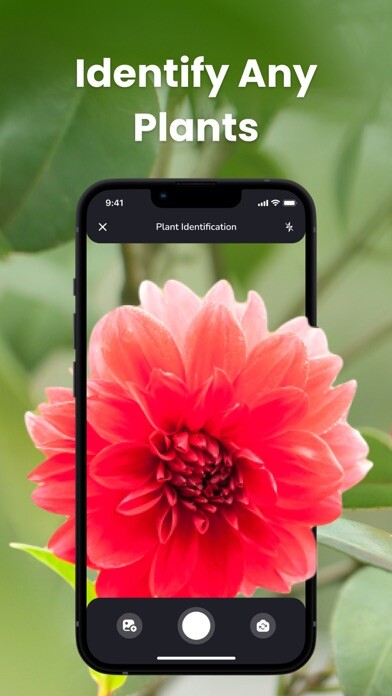 Emulate iPhone app PlantIn: Plant Identifier using MyAndroid Emulate iPhone app PlantIn: Plant Identifier using MyAndroid