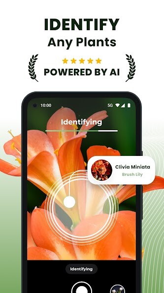 Run android online APK PlantMe - Plant identification from MyAndroid or emulate PlantMe - Plant identification using MyAndroid