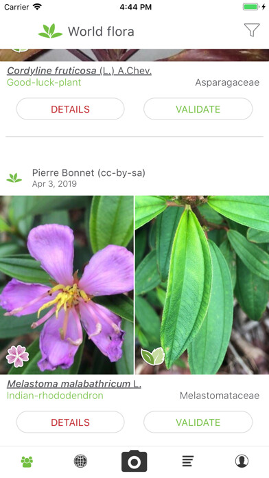 Emulate iPhone app PlantNet using MyAndroid Emulate iPhone app PlantNet using MyAndroid