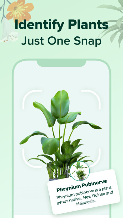Emulate iPhone app PlantNow-Plant Identification using MyAndroid Emulate iPhone app PlantNow-Plant Identification using MyAndroid