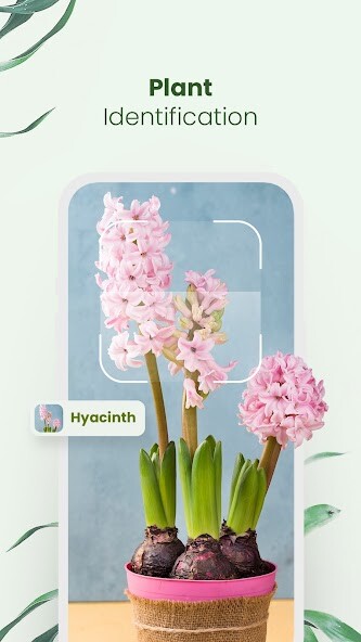 Run android online APK Plantora- Plant Identify, Care from MyAndroid or emulate Plantora- Plant Identify, Care using MyAndroid Run android online APK Plantora- Plant Identify, Care from MyAndroid or emulate Plantora- Plant Identify, Care using MyAndroid