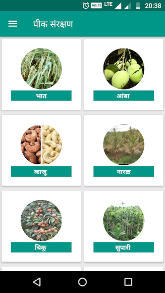 Emulate Android APK Plant Protection Emulate Android APK Plant Protection