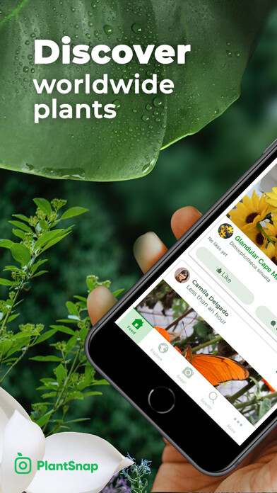 Emulate iPhone app PlantSnap Pro: Identify Plants using MyAndroid Emulate iPhone app PlantSnap Pro: Identify Plants using MyAndroid