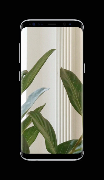 Run android online APK Plants Wallpaper HD from MyAndroid or emulate Plants Wallpaper HD using MyAndroid