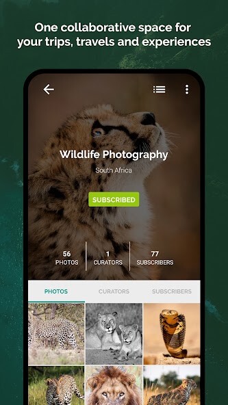 Run android online APK Plates - Photography Community from MyAndroid or emulate Plates - Photography Community using MyAndroid