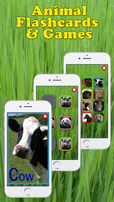 Emulate iPhone app Play & Learn Animal Flashcards using MyAndroid Emulate iPhone app Play & Learn Animal Flashcards using MyAndroid