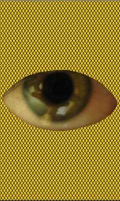 Emulate Android APK Please Poke My Eye! Emulate Android APK Please Poke My Eye!