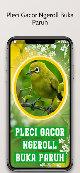 Run android online APK Pleci Gacor Ngeroll Buka Paruh from MyAndroid or emulate Pleci Gacor Ngeroll Buka Paruh using MyAndroid Run android online APK Pleci Gacor Ngeroll Buka Paruh from MyAndroid or emulate Pleci Gacor Ngeroll Buka Paruh using MyAndroid