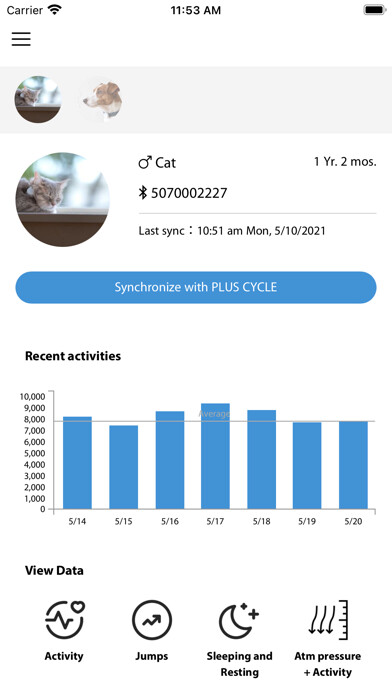 Emulate iPhone app PLUS CYCLE ver. EN using MyAndroid Emulate iPhone app PLUS CYCLE ver. EN using MyAndroid