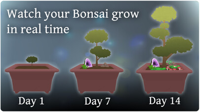 Emulate iPhone app Pocket Bonsai using MyAndroid Emulate iPhone app Pocket Bonsai using MyAndroid