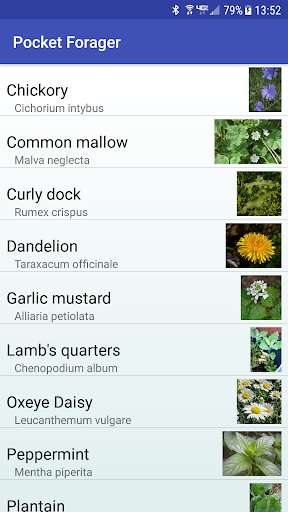Run android online APK Pocket Forager from MyAndroid or emulate Pocket Forager using MyAndroid
