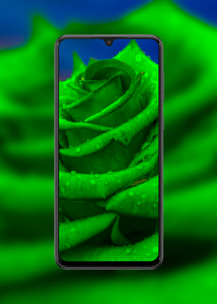 Run android online APK Poco M4 Pro Wallpapers from MyAndroid or emulate Poco M4 Pro Wallpapers using MyAndroid Run android online APK Poco M4 Pro Wallpapers from MyAndroid or emulate Poco M4 Pro Wallpapers using MyAndroid