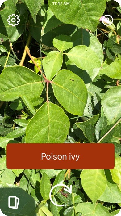 Emulate iPhone app Poison Ivy using MyAndroid