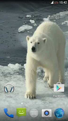 Run android online APK Polar bear HD. Video Wallpaper from MyAndroid or emulate Polar bear HD. Video Wallpaper using MyAndroid Run android online APK Polar bear HD. Video Wallpaper from MyAndroid or emulate Polar bear HD. Video Wallpaper using MyAndroid