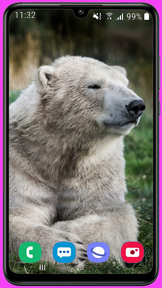 Run android online APK Polar Bear HD Wallpaper from MyAndroid or emulate Polar Bear HD Wallpaper using MyAndroid