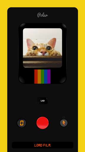 Run android online APK Polar Cam - 1980s Retro Camera from MyAndroid or emulate Polar Cam - 1980s Retro Camera using MyAndroid
