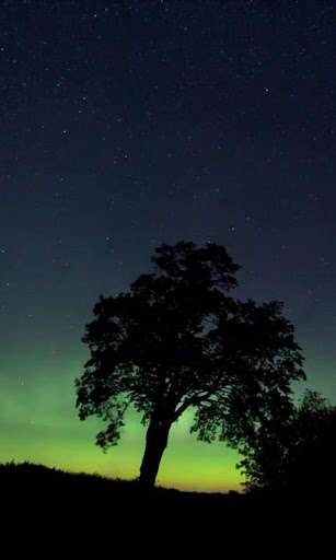 Run android online APK Polar night in color from MyAndroid or emulate Polar night in color using MyAndroid