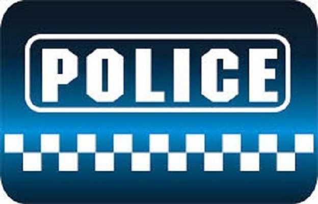 Emulate Android APK Police mobile dialer