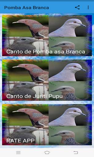 Run android online APK Pomba Asa Branca & Juriti Pupu HD from MyAndroid or emulate Pomba Asa Branca & Juriti Pupu HD using MyAndroid Run android online APK Pomba Asa Branca & Juriti Pupu HD from MyAndroid or emulate Pomba Asa Branca & Juriti Pupu HD using MyAndroid