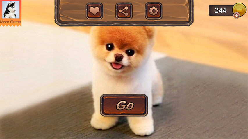 Run android online APK Pomeranian Dog Simulator from MyAndroid or emulate Pomeranian Dog Simulator using MyAndroid Run android online APK Pomeranian Dog Simulator from MyAndroid or emulate Pomeranian Dog Simulator using MyAndroid