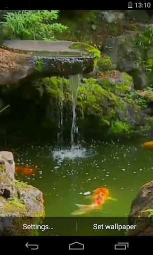 Run android online APK Pond with Koi Live Wallpaper from MyAndroid or emulate Pond with Koi Live Wallpaper using MyAndroid Run android online APK Pond with Koi Live Wallpaper from MyAndroid or emulate Pond with Koi Live Wallpaper using MyAndroid