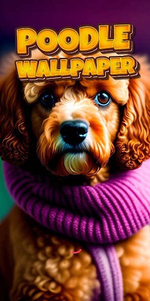 Run android online APK poodle wallpaper from MyAndroid or emulate poodle wallpaper using MyAndroid Run android online APK poodle wallpaper from MyAndroid or emulate poodle wallpaper using MyAndroid