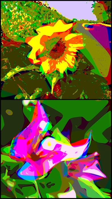 Emulate iPhone app PopArtImager using MyAndroid Emulate iPhone app PopArtImager using MyAndroid