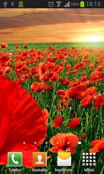 Run android online APK Poppies live wallpaper from MyAndroid or emulate Poppies live wallpaper using MyAndroid Run android online APK Poppies live wallpaper from MyAndroid or emulate Poppies live wallpaper using MyAndroid
