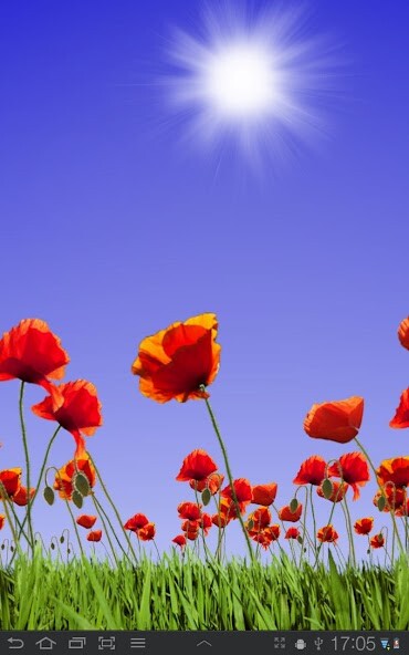 Run android online APK Poppy Field Live Wallpaper from MyAndroid or emulate Poppy Field Live Wallpaper using MyAndroid