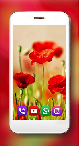 Run android online APK Poppy HD Live Wallpaper from MyAndroid or emulate Poppy HD Live Wallpaper using MyAndroid