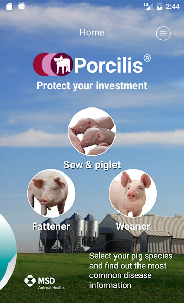 Run android online APK Porcilis®Pig from MyAndroid or emulate Porcilis®Pig using MyAndroid Run android online APK Porcilis®Pig from MyAndroid or emulate Porcilis®Pig using MyAndroid