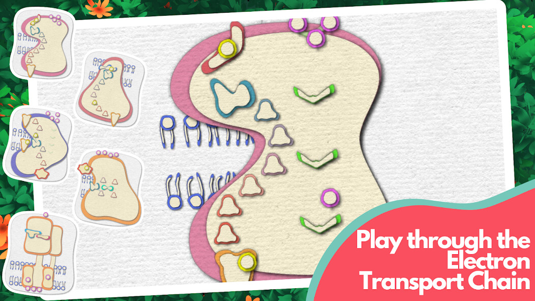 Run android online APK Powerhouse of the Cell from MyAndroid or emulate Powerhouse of the Cell using MyAndroid