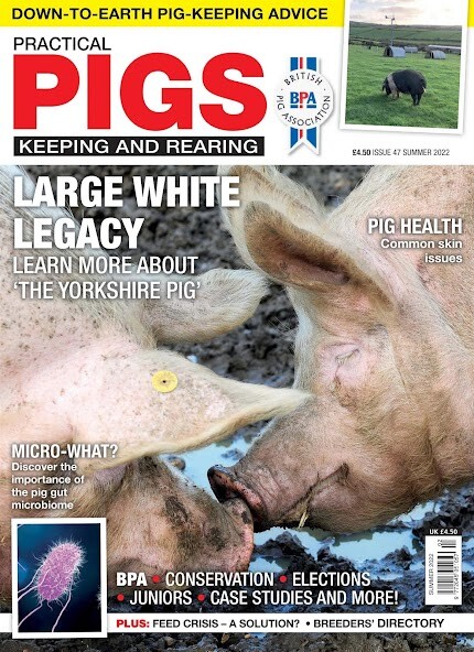 Run android online APK Practical Pigs from MyAndroid or emulate Practical Pigs using MyAndroid Run android online APK Practical Pigs from MyAndroid or emulate Practical Pigs using MyAndroid